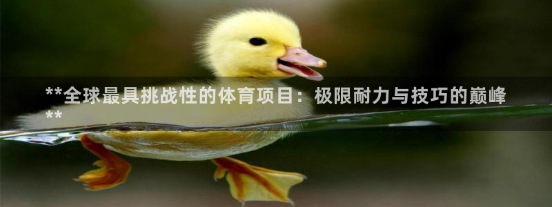 星欧娱乐公司怎么样