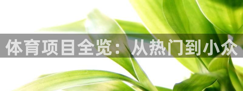 星欧娱乐游戏官网