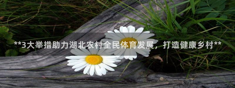 星欧娱乐扣款时间查询方法是什么样的