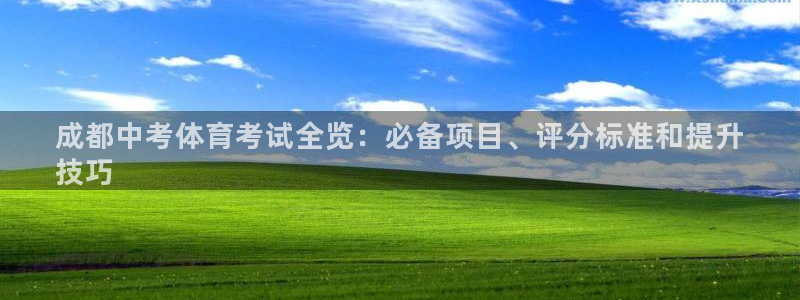 星欧娱乐联最新功能介绍