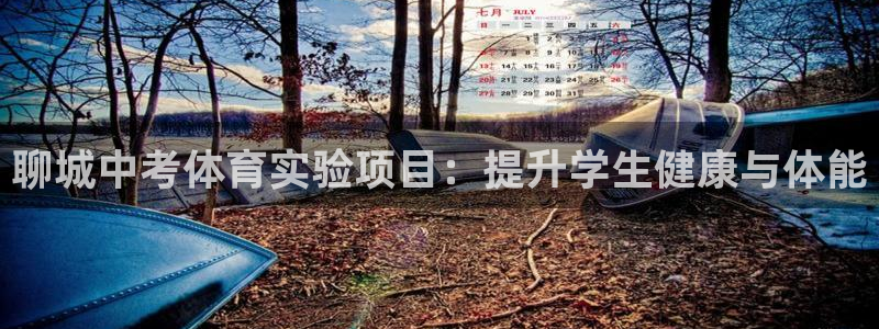 星欧娱乐app最新版本更新内容是什么