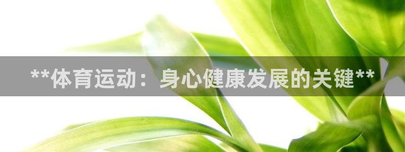 星奥娱乐集团怎么样