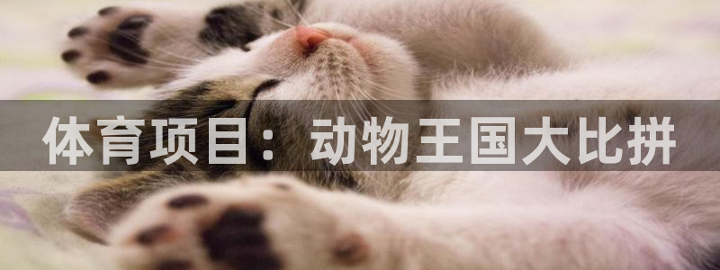 新星娱乐怎么开挂