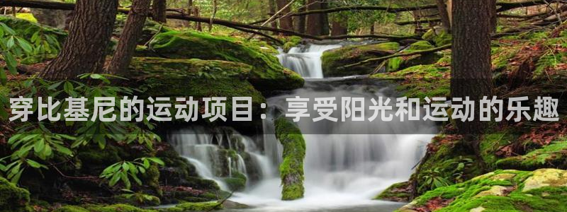 星欧娱乐24小时客服电话