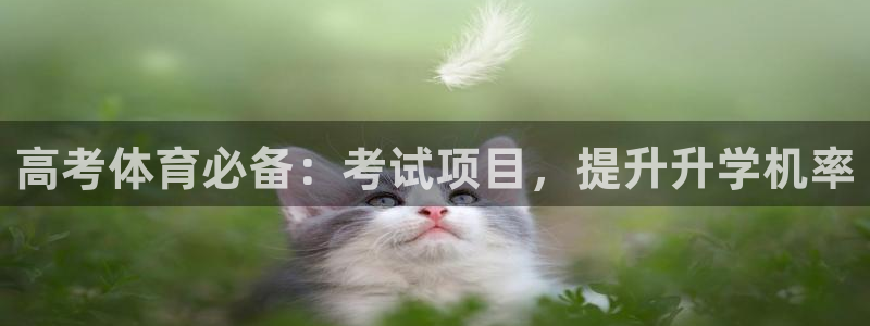 星欧娱乐属于什么档次的公司名称