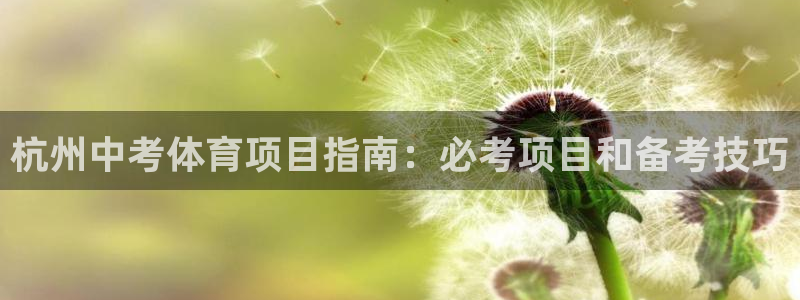 星欧娱乐的官方版本更新内容