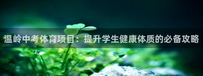星欧娱乐扣款时间查询方法