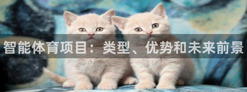 星奥娱乐集团怎么样