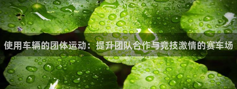 星欧娱乐巴711.112扣费记录查询方法
