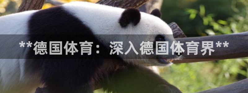 星欧娱乐是正规平台吗安全吗可靠吗
