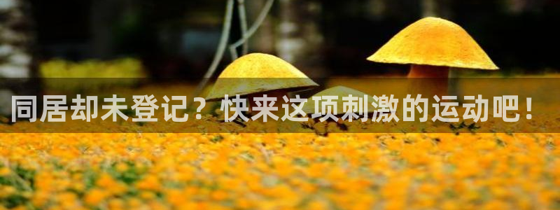 星欧娱乐退款流程详解