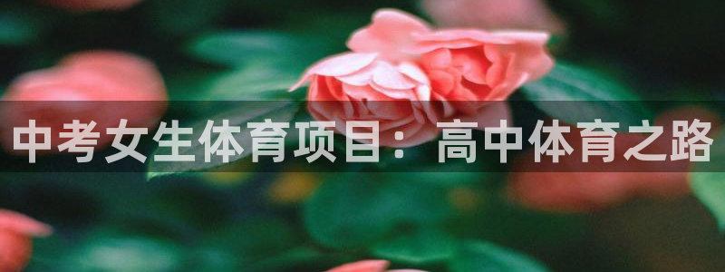 星欧娱乐联最新功能介绍