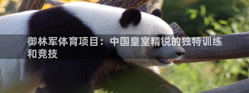星欧娱乐最建议买的三个产品是什么呢