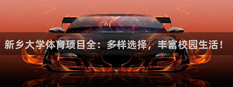 星娱乐文化传媒