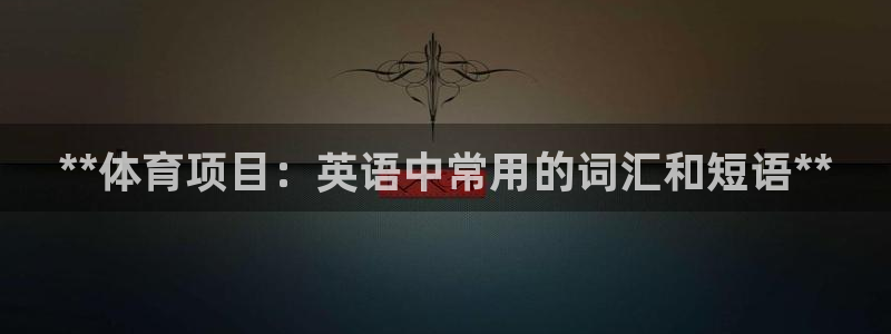 星奥娱乐招聘