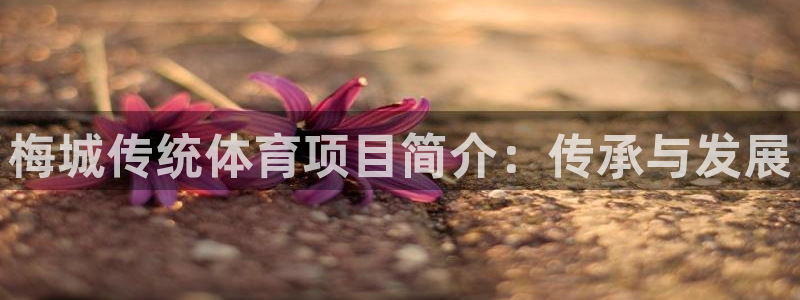 星欧娱乐的官方版本更新内容是什么