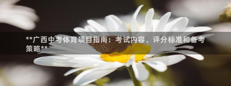 星奥娱乐怎么样