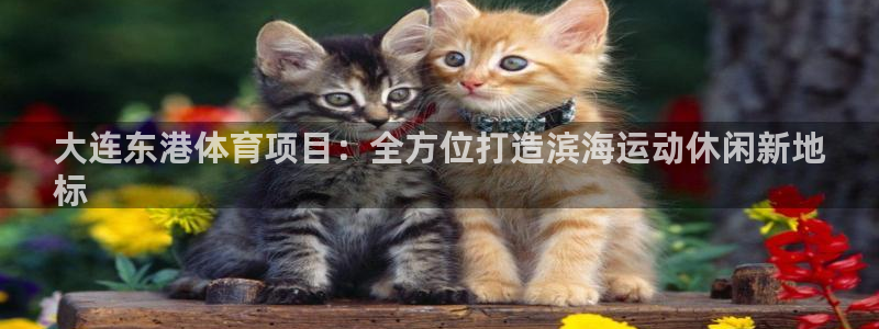 星欧娱乐平台怎么样可靠吗