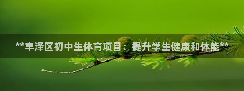 星欧娱乐平台