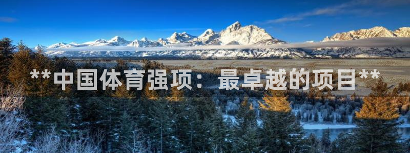 江苏星奥娱乐有限公司报名