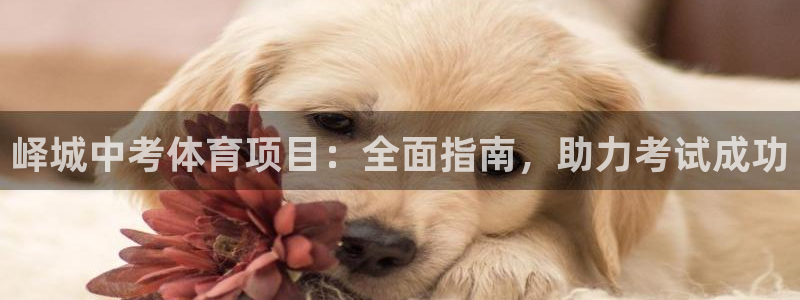 星欧娱乐扣款时间查询方法是什么呢