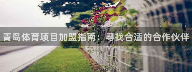 星欧娱乐是正规平台吗安全吗知乎