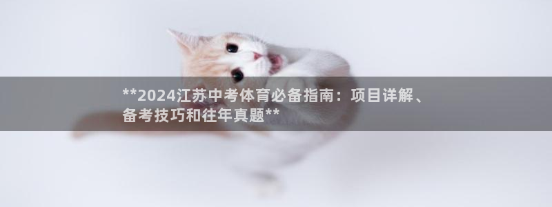 星欧娱乐扣款流程详解图