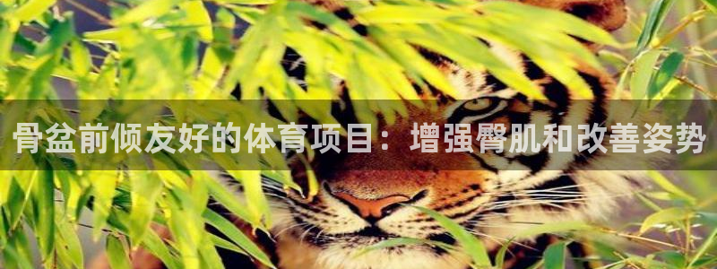 星欧娱乐公司怎么样