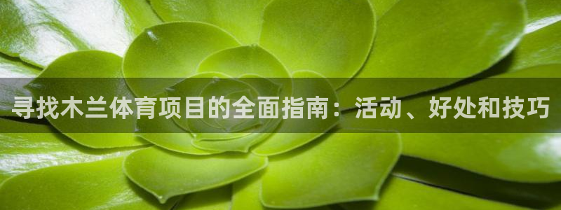 星澳娱乐公司地址