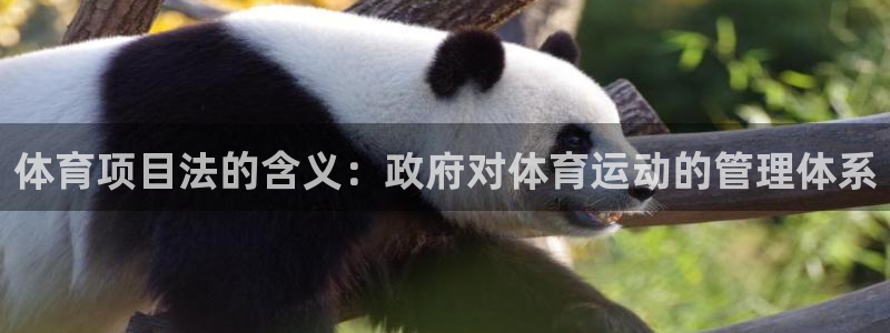 星欧娱乐属于什么档次的软件