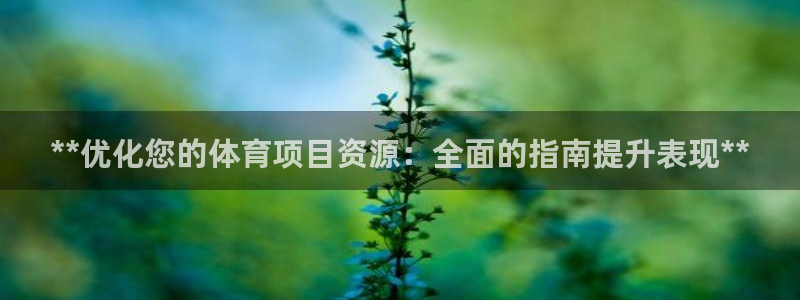 星欧娱乐app最新版本更新内容