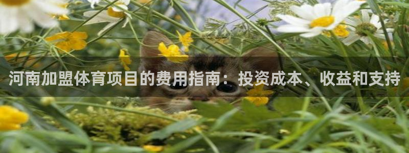 星娱乐文化传媒