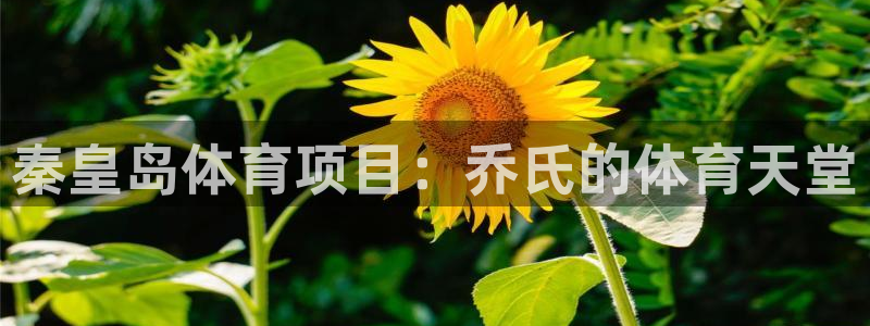 星奥娱乐集团股份有限公司招聘