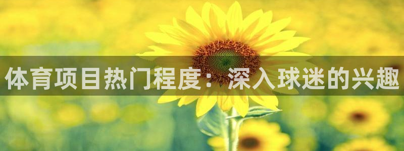 星欧娱乐扣款时间查询方法怎么查