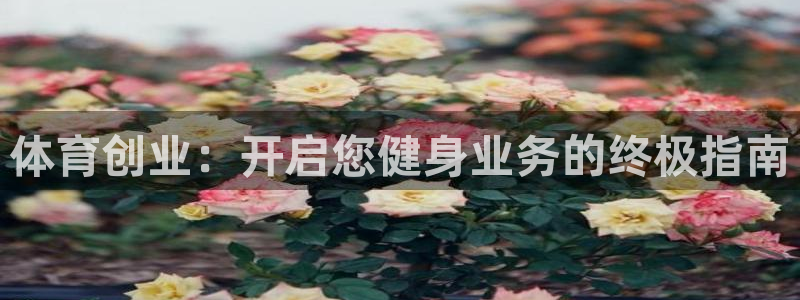 星欧娱乐官网