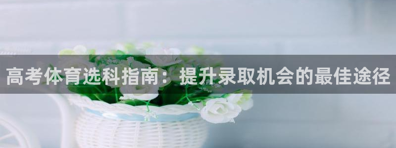 星欧娱乐属于什么档次的公司啊