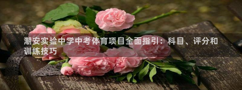 星欧娱乐最建议买的三个产品