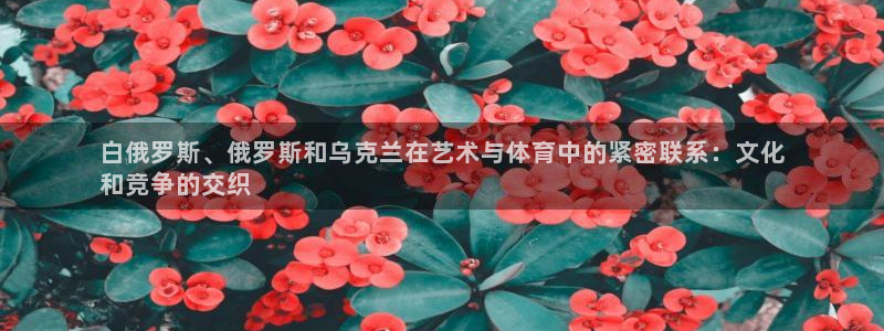 星欧娱乐平台过7O777