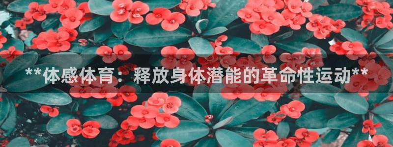 星欧娱乐扣款流程详解视频教程
