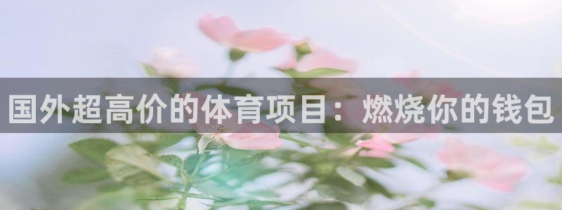 星欧娱乐平台测速线路怎么设置