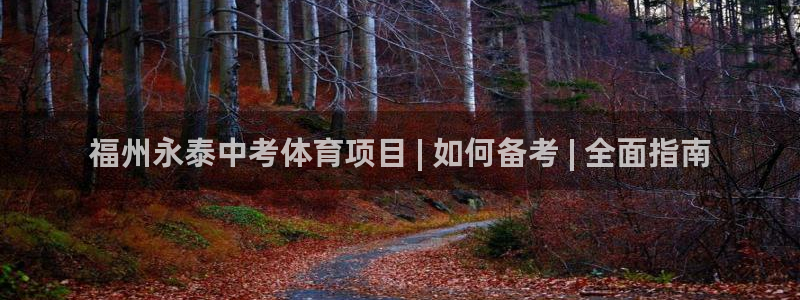 星欧娱乐公司创始人背景故事介绍