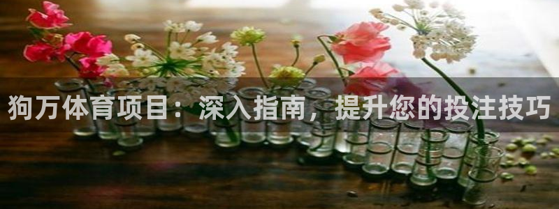 欧亿测速娱乐