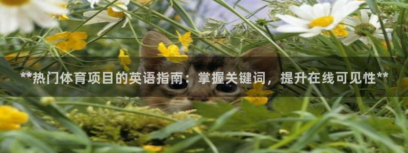 星欧娱乐公司电话号码查询