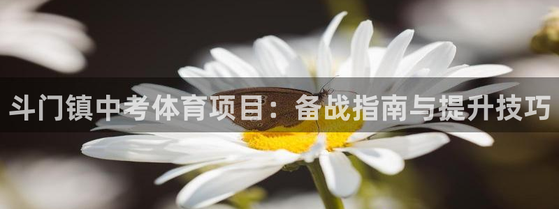 星欧娱乐雀V是什么平台