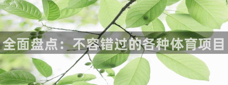 星欧娱乐扣款时间查询方法是什么意思