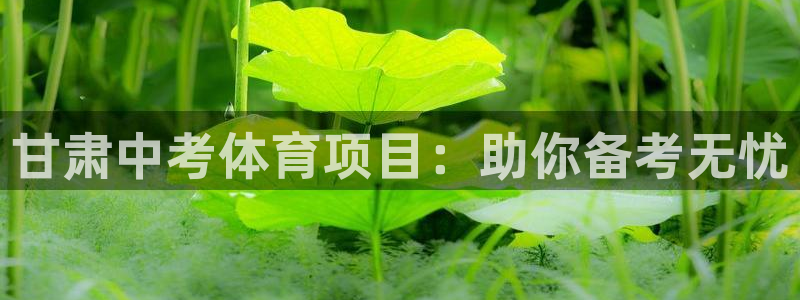 星欧娱乐平台怎么样可靠吗