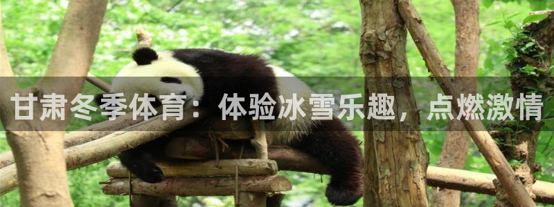 星欧娱乐官网首页下载