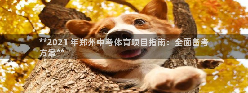 星欧娱乐平台怎么样知乎