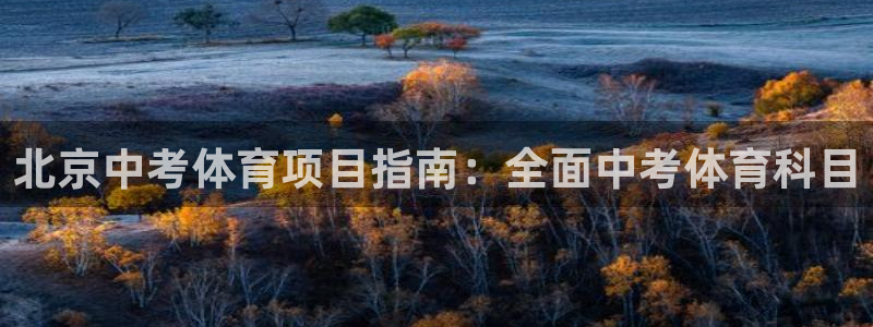 星欧娱乐联游戏评测