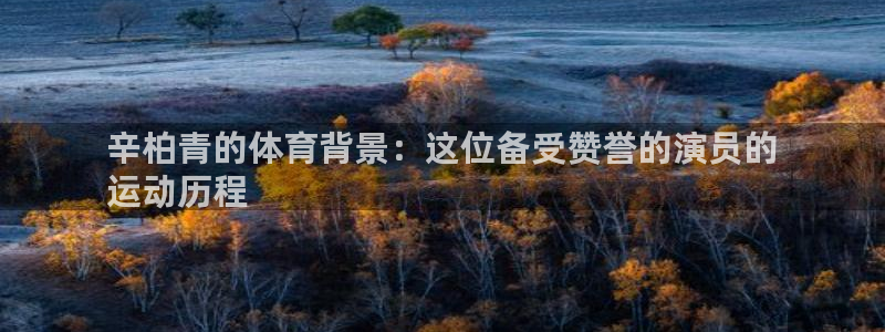 星欧娱乐平台怎么样啊安全吗